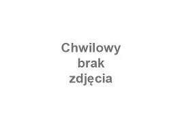 Papier ozdobny rolki A2